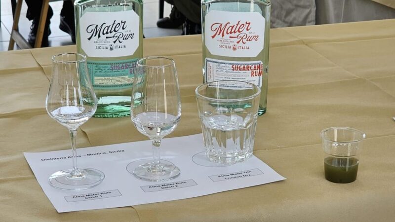 Distilleria Alma- Rum Distilery Guided Tour & Tasting - Rum and Gin Tasting Experience