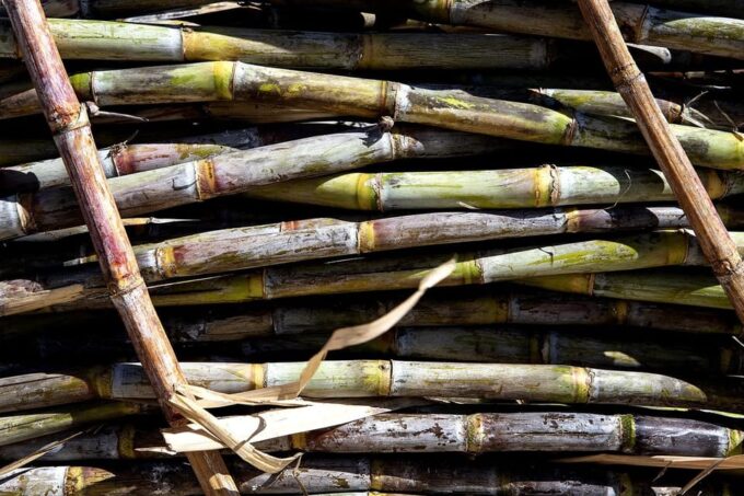 Distilleria Alma- Rum Distilery Guided Tour & Tasting - Tour Duration and Accessibility