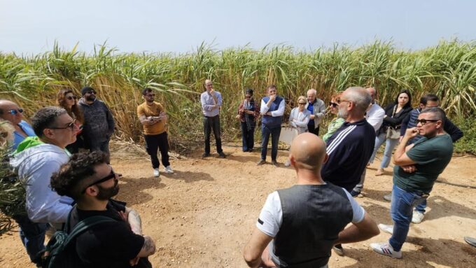 Distilleria Alma- Rum Distilery Guided Tour & Tasting - Customer Feedback and Tips