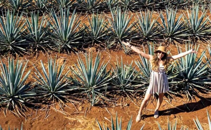 Distillery Entry Tickets and Tastings in Tequila Jalisco - What Makes This Experience Unique?