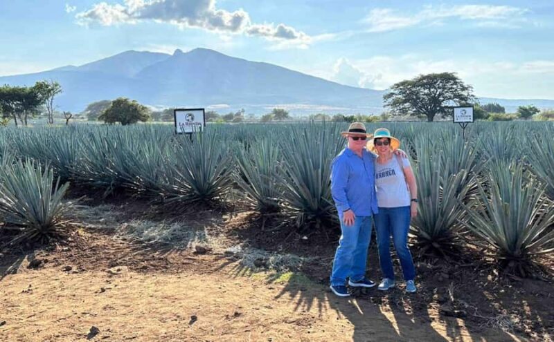 Distillery Entry Tickets and Tastings in Tequila Jalisco - Comparing to Other Experiences