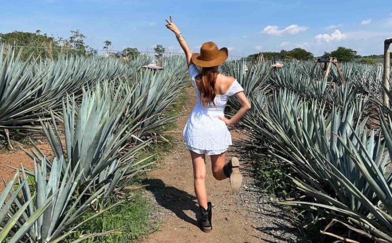 Distillery Entry Tickets and Tastings in Tequila Jalisco - FAQ