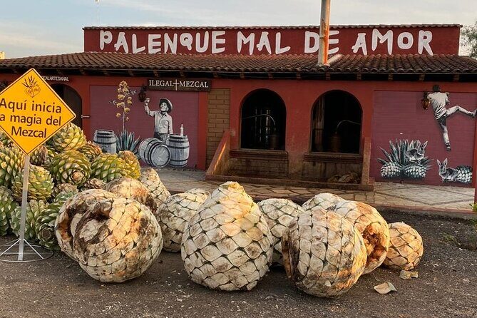 Distillery Tour and Agave Fields by Mal de Amor Mezcal - Key Points