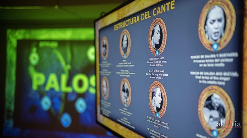 Dive In and Discover: Flamenco in an Interactive Journey - Pricing and Value