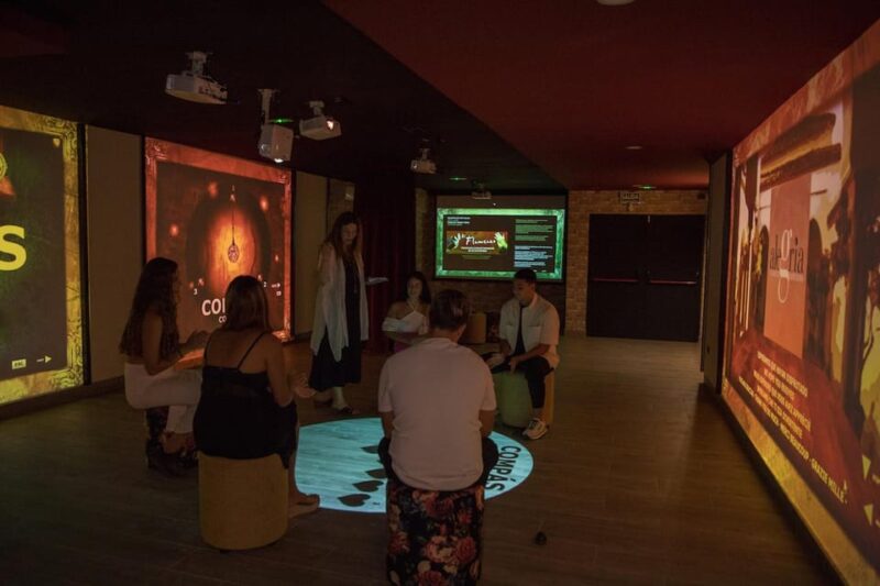 Dive In and Discover: Flamenco in an Interactive Journey - Guided by Flamenco Enthusiasts