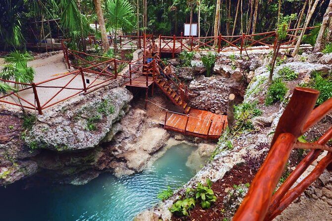 Dive Into Paradise: Cenote Tour - What Is the Dive Into Paradise Cenote Tour?