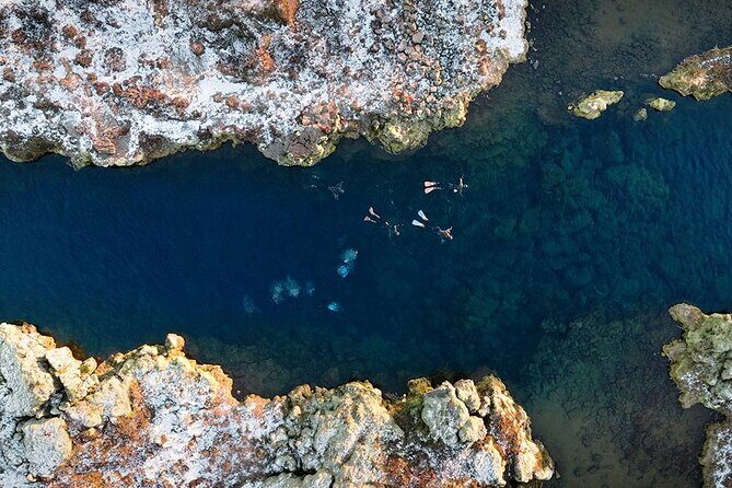 Dive the Divide: Silfra Fissure Scuba Tour | Meet at Thingvellir - Authentic Experiences and Reviewer Insights