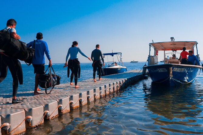 Dive Trip to the Coral Reefs of Fujairah for Certified Scuba Divers - Good To Know
