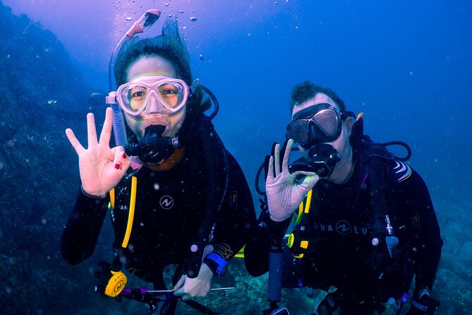 Dive Trip to the Coral Reefs of Fujairah for Certified Scuba Divers - Dive Guide Expertise