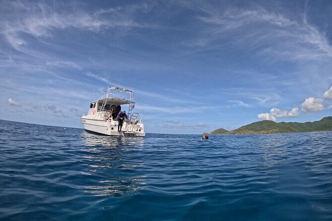 DiveCarib - An Eco-Friendly Certified Diver Trip in Antigua - An In-Depth Look at the Antigua DiveExperience