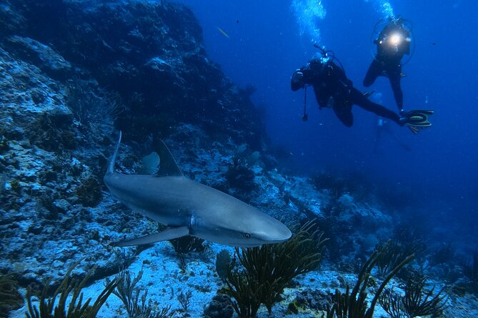 DiveCarib - An Eco-Friendly Certified Diver Trip in Antigua - Included in the Experience