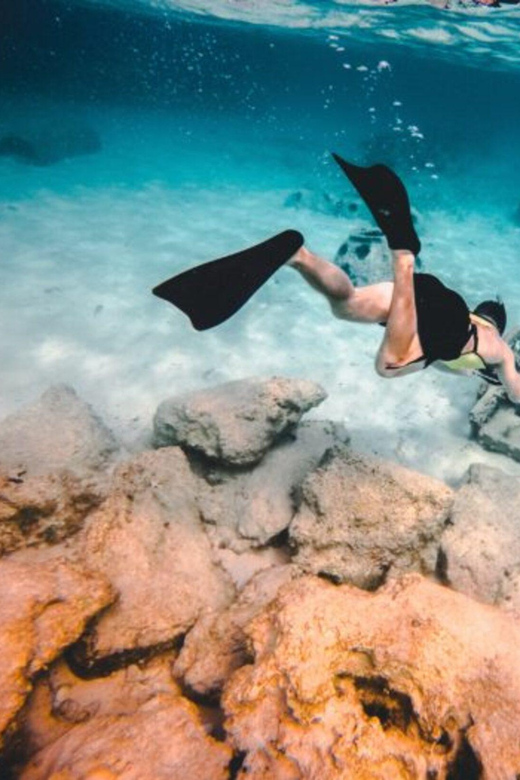DiveSnap Underwater Sports Thrills:Lantern Point & P31 Wreck - The Sum Up