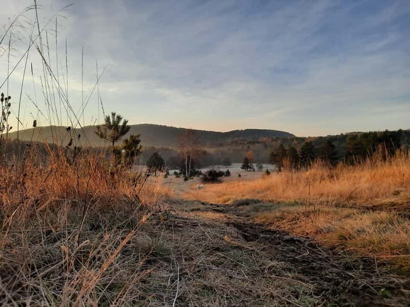 Divibare: Follow the Sun Hiking Tour - Practical Tips for Participants