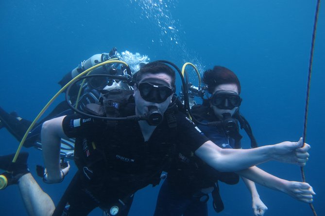 Diving and / or Snorkeling Day From a Catamaran - Overview of the Experience