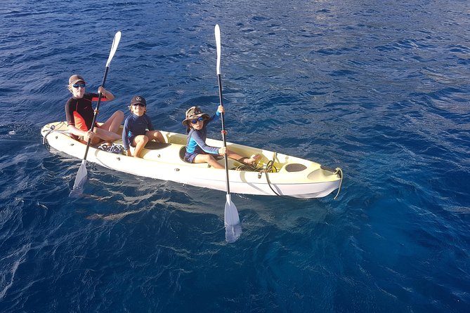 Diving and / or Snorkeling Day From a Catamaran - Booking and Cancellation Policy