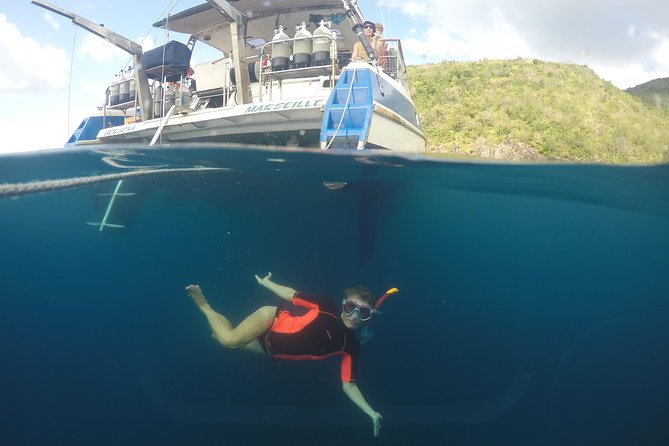 Diving and / or Snorkeling Day From a Catamaran - Traveler Reviews and Feedback
