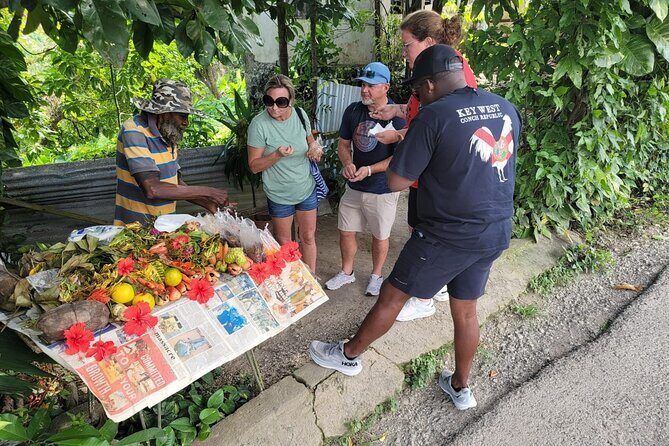 Diving and Rafting Tour in Ocho Rios Jamaica - Discovering Ocho Rios’ Highlights