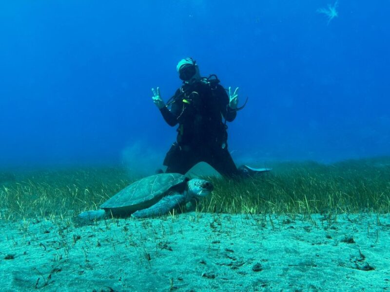 Diving Course for Beginners in Turtle Area Tenerife - Equipment Provided