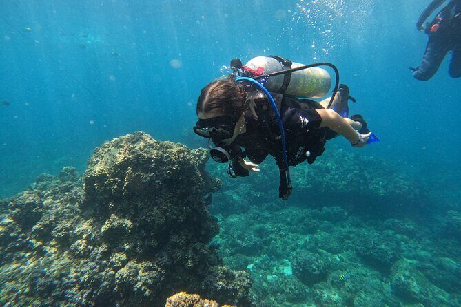 Diving exploration for beginners in Los Arcos de Mismaloya - An In-Depth Look at the Tour Experience