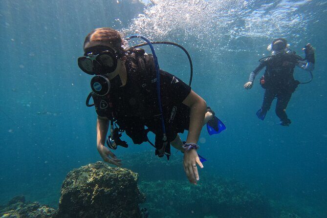 Diving exploration for beginners in Los Arcos de Mismaloya - Practical Details and Tips