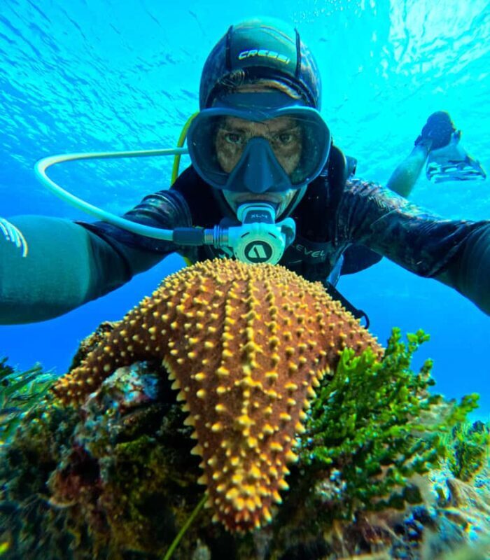 Diving for Beginners in Cozumel: Your First VIP Experience - Key Points