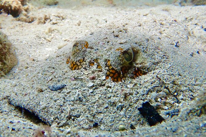 Diving for Certified Divers, 2 Tanks Susua Bay - Dive Sites