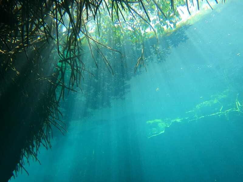 DIVING IN MAYAN CENOTES; THE LARGEST AQUIFER IN THE WORLD - The Sum Up