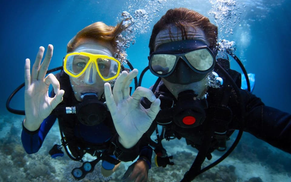 Diving Tour from Alanya & Side with Lunch - 2 Dives Included - Exploring the Underwater World of Side and Alanya: What to Expect