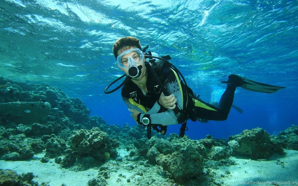 Diving Tour from Alanya & Side with Lunch - 2 Dives Included - Who Should Join?