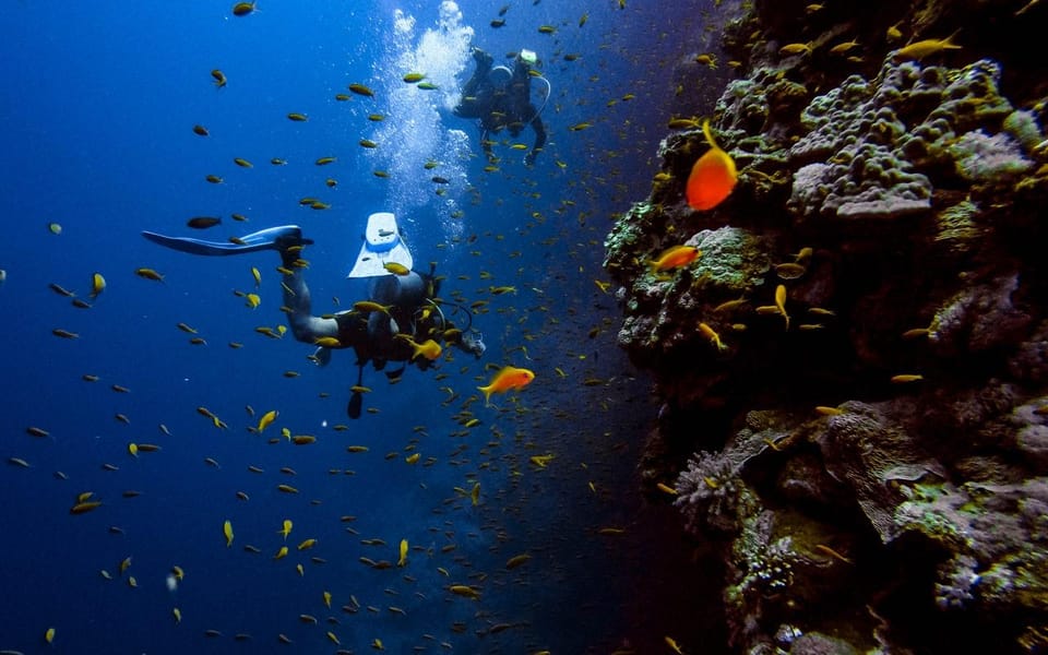 Diving Tour from Alanya & Side with Lunch - 2 Dives Included - FAQ