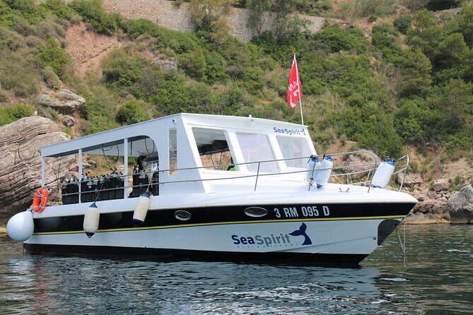 Diving with PADI 5 Star CDC Diving Resort Isola Bella Marine Park Taormina - What Travelers Say: Authentic Perspectives