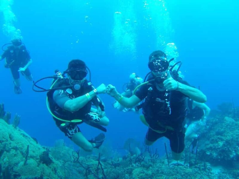 diving without a license catalina island from punta cana - What Travelers Can Expect