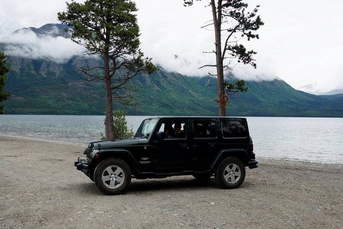 DIY Yukon Tour - Wildlife Sightings