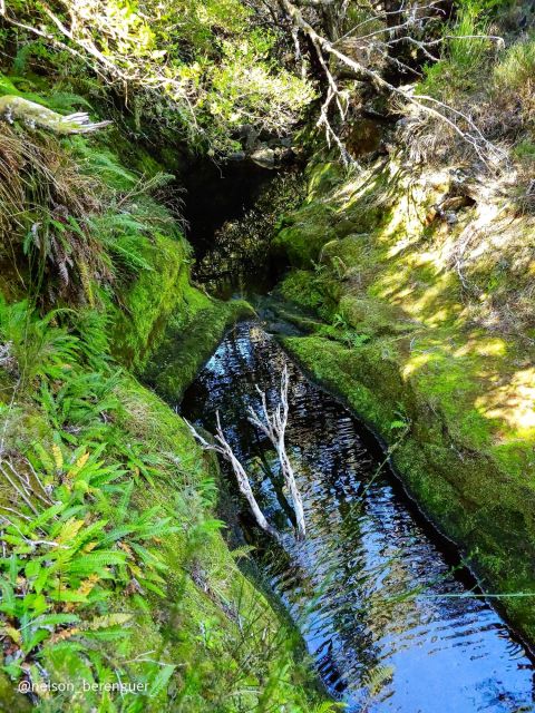 Do You Want to Get to Know Rabacal in a Different Way? - Immerse in Natures Silence
