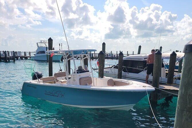 Dock Hop Cruise in Sarasota - What Makes the Dock Hop Cruise Stand Out?