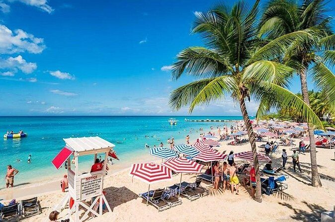 Doctors Cave Beach and Margaritaville Private Tour - Transportation and Timing