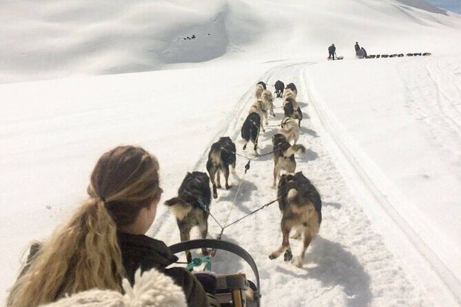 Dog Sledding and Animal Encounters Tour from Anchorage - What Makes This Tour Stand Out?