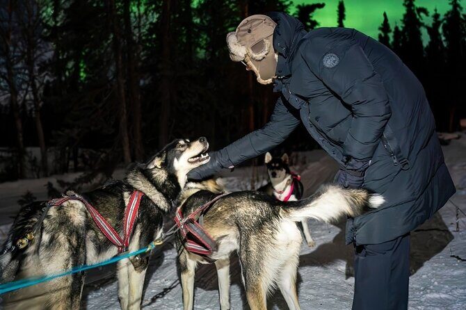 Dog Sledding and Northern Lights Combo Night - The Full Experience