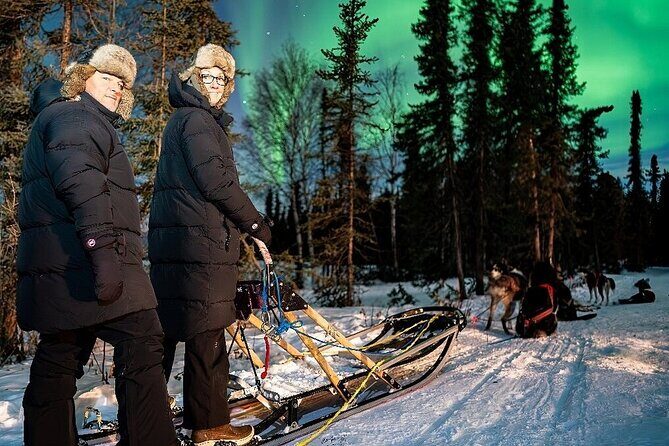 Dog Sledding and Northern Lights Combo Night - The Value and Who Should Consider This Tour
