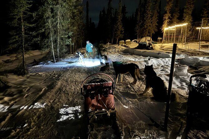 Dog Sledding and Northern Lights Combo Night - FAQ