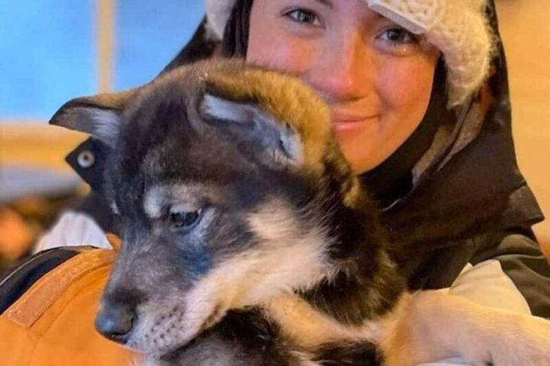 Dog Sledding & Animal Adventures Anchorage Pickup - Exploring the Tour in Detail