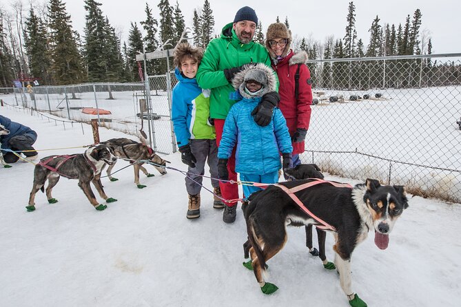 Dog Sledding - Subarctic Wilderness Tour - Meeting Point Details