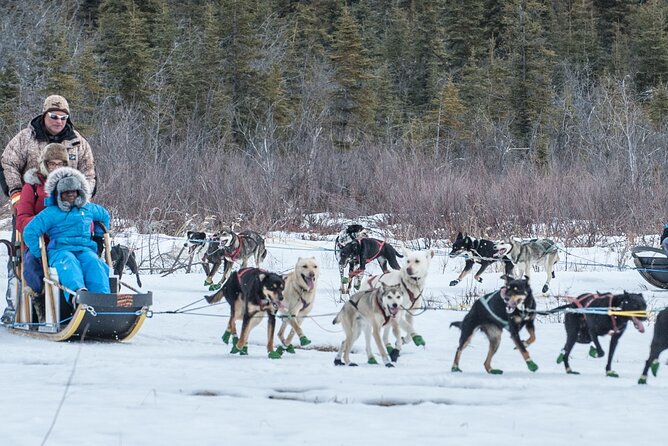 Dog Sledding - Subarctic Wilderness Tour - Pricing and Booking Process