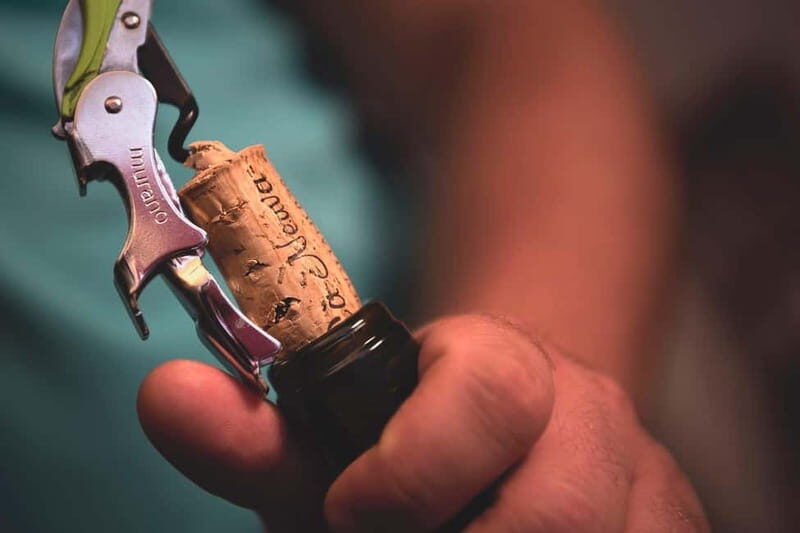 Dogliani: Tasting of 7 Wines in the Heart of the Langhe - Addressing Practical Concerns
