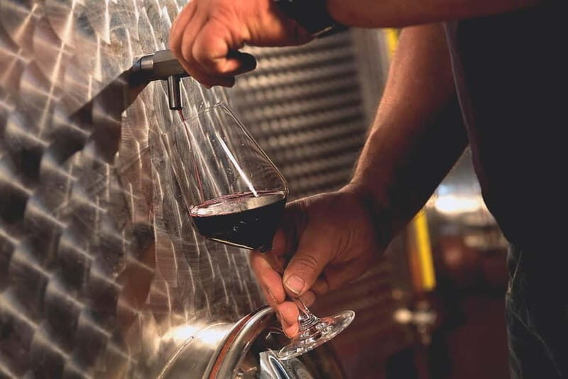 Dogliani: Tasting of 7 Wines in the Heart of the Langhe - Why This Tour Works for Different Travelers