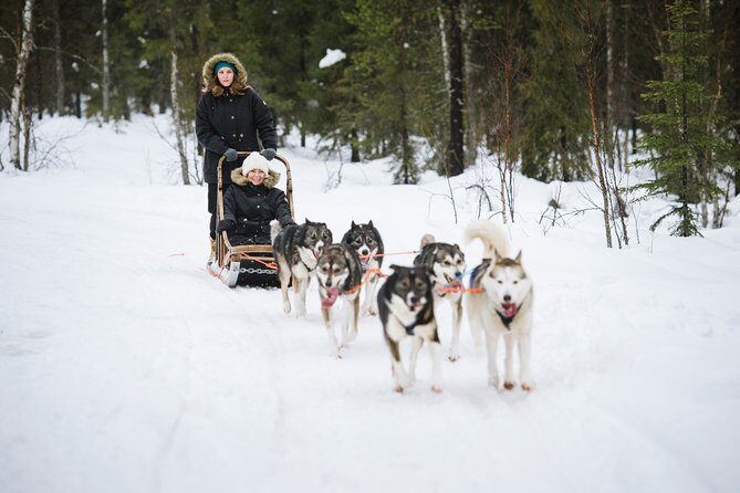 Dogsled Adventure Kiruna - FAQ