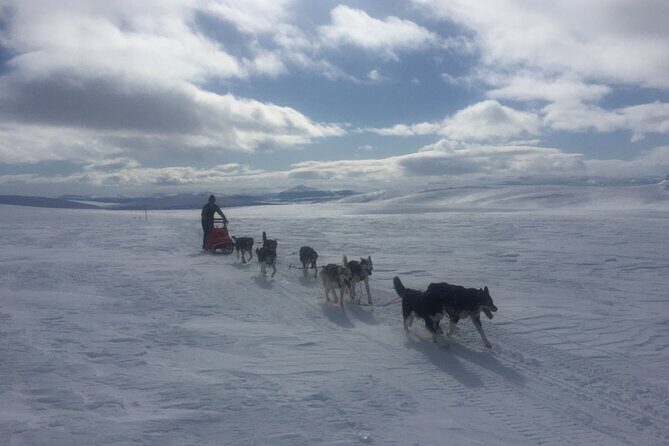 Dogsledding in the Heart of Alaska - Starting Point and Logistics