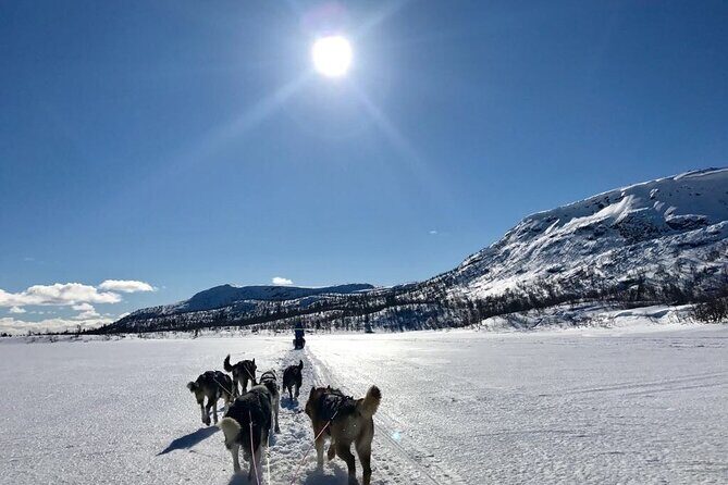 Dogsledding in the Heart of Alaska - Midway Break and Photo Opportunities