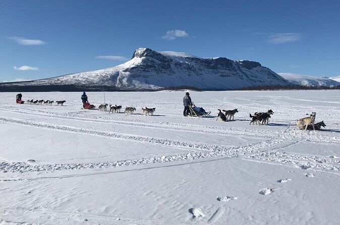Dogsledding in the Heart of Alaska - Comfort and Gear