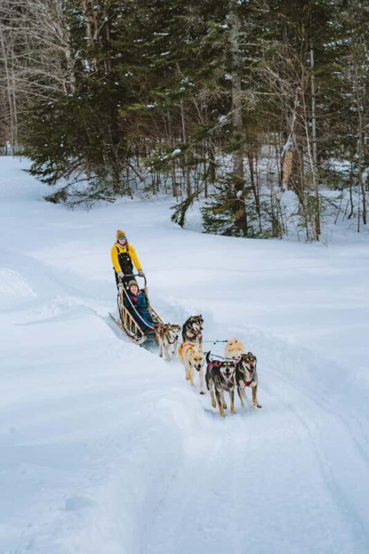 Dogsledding Upper Laurentians near Mont-Tremblant - Key Points
